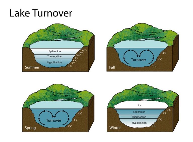 lake turnover and water quality