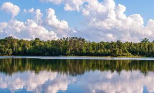 Read more about the article Managing your lake shoreline buffers for healthy waters