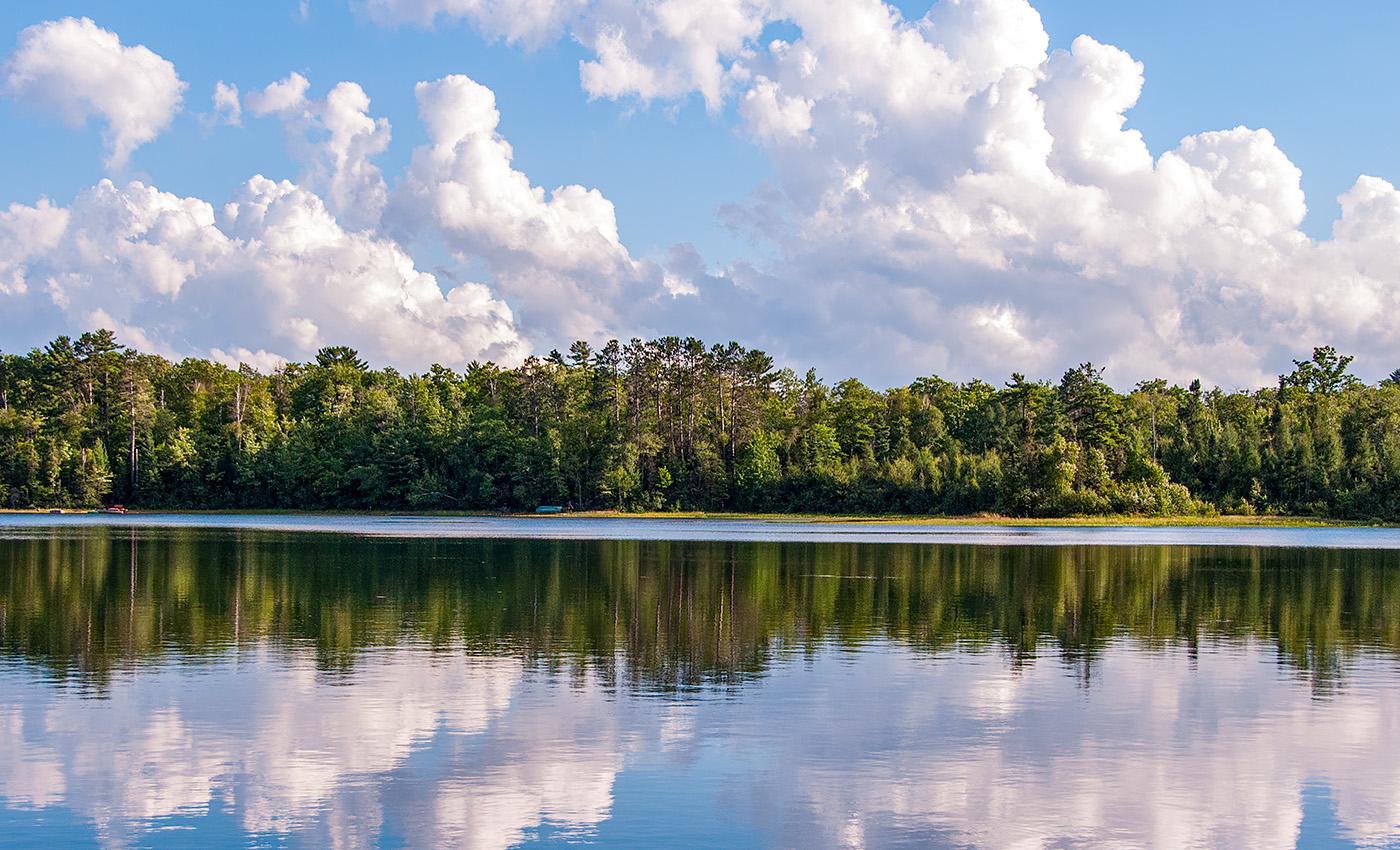 You are currently viewing Managing your lake shoreline buffers for healthy waters