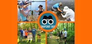 Read more about the article Aquatic Invasive Species 2022 Snapshot Day is August 20