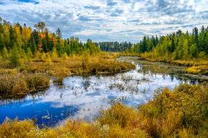 Read more about the article 2022 Vilas County Lakes Conservation Partners Meeting