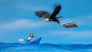 Read more about the article VCLRA’s Summer 2025 newsletter has taken flight!